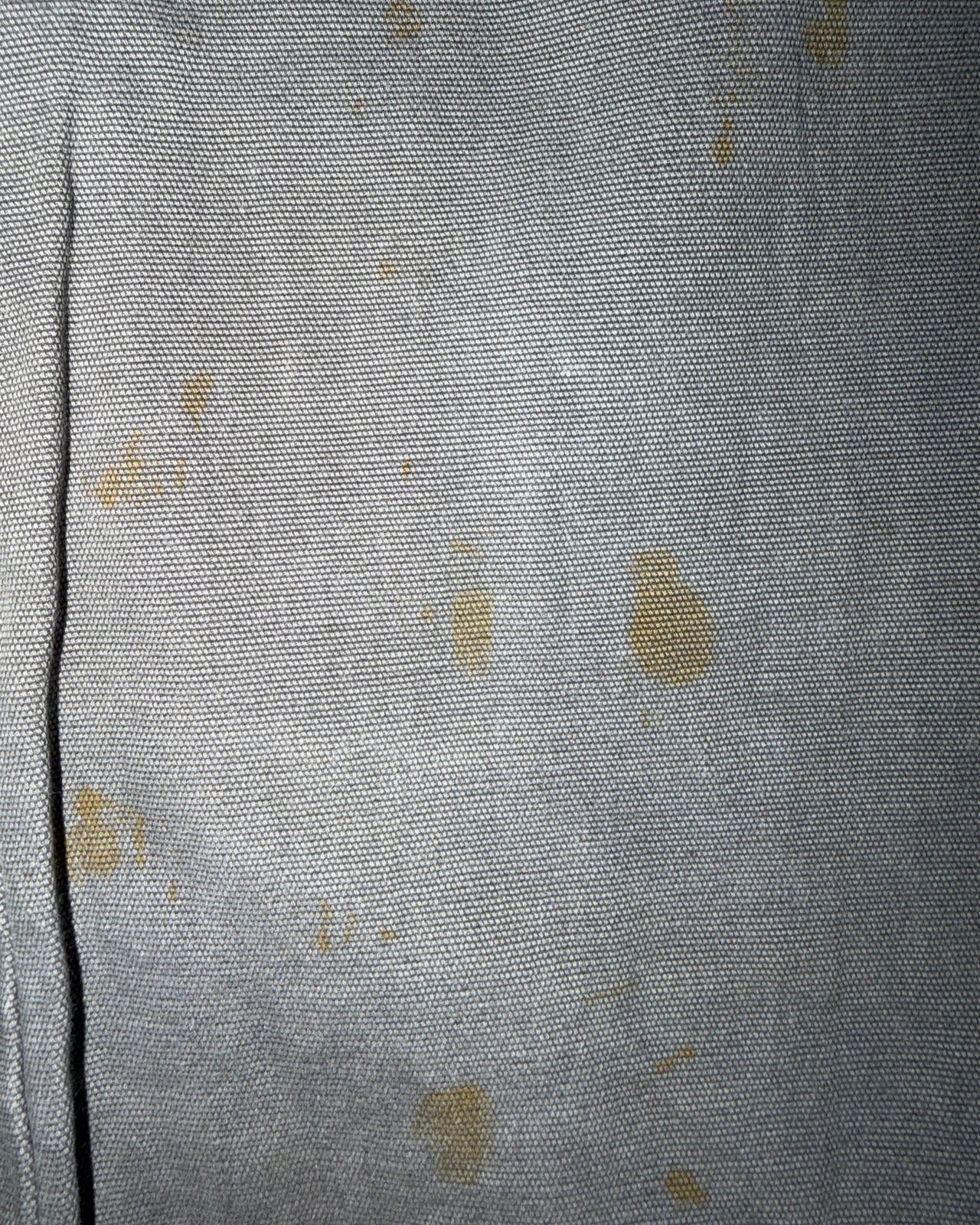 Carhartt Relaxed Fit Trousers