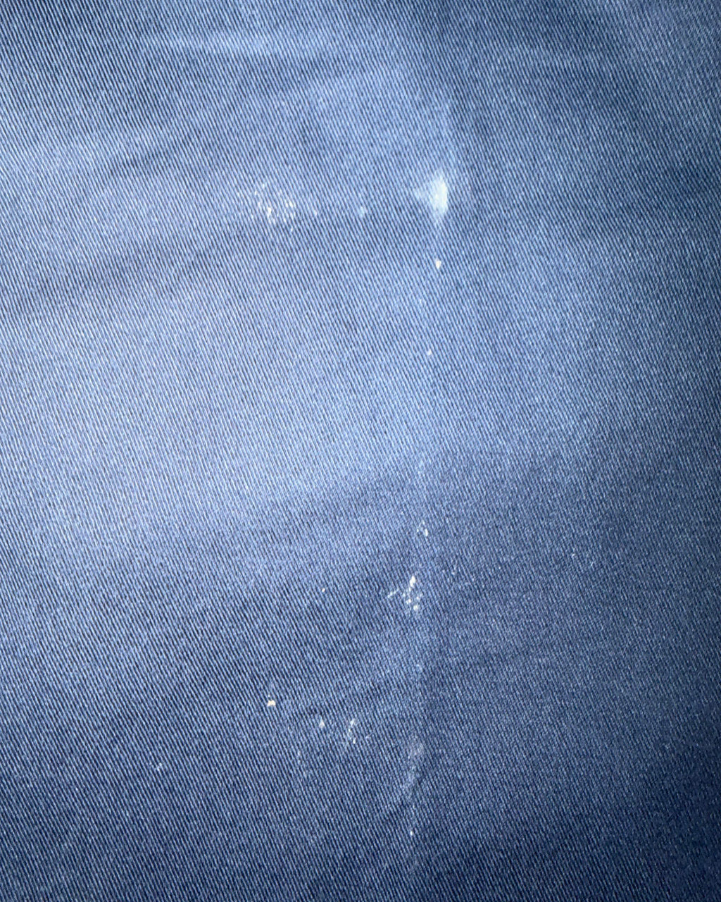 Dickies 874 Trousers